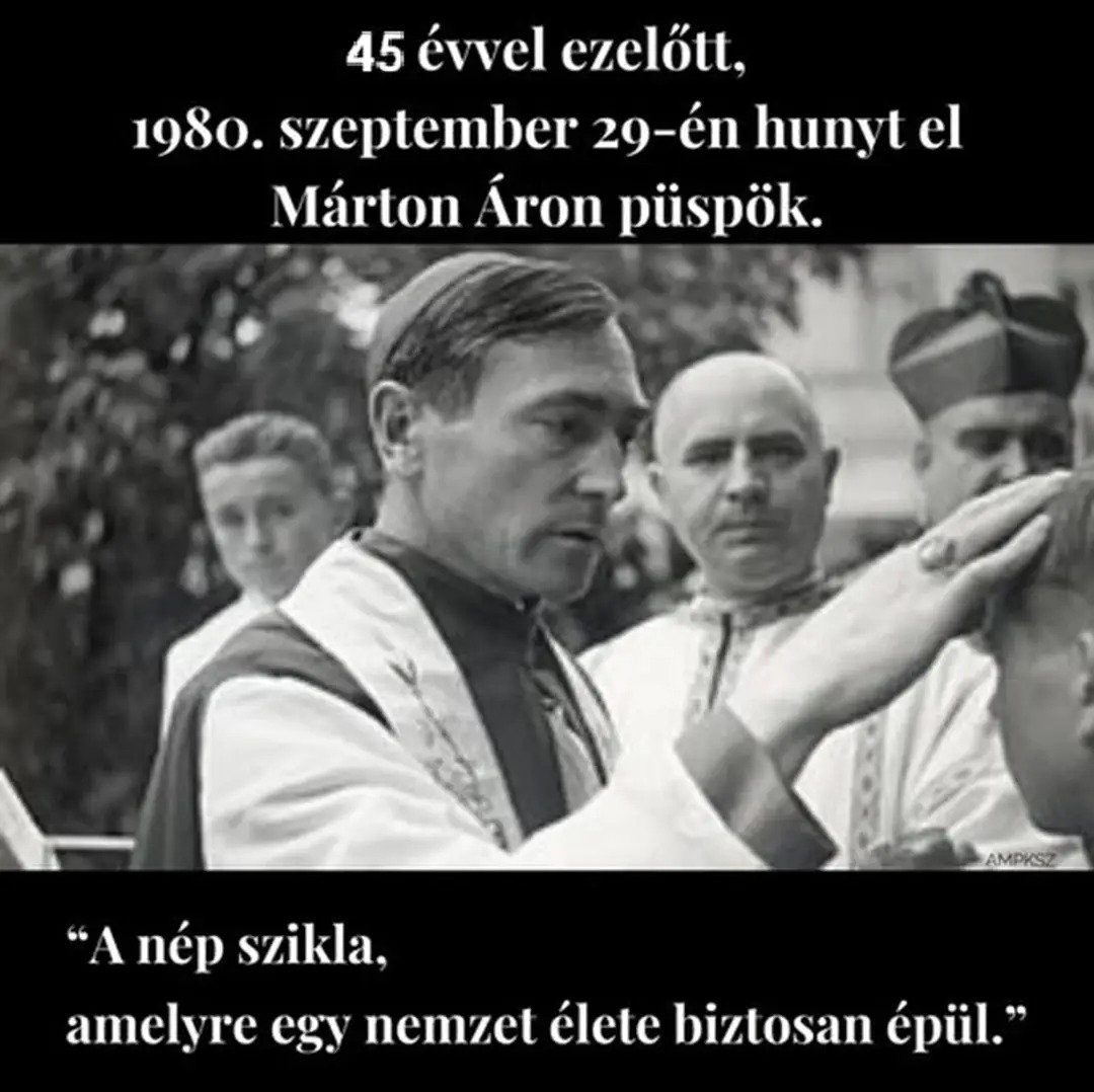 MartonAron.jpg