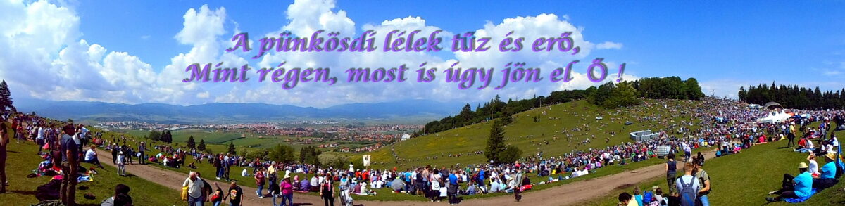 Aldottpunkosdidezetes.JPG